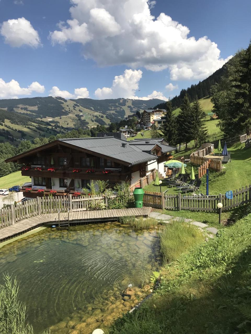Appartementhotel Hechenberg Зальбах-Хинтерглемм Экстерьер фото